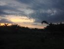 20180712 ioswaisenhaus2018juli